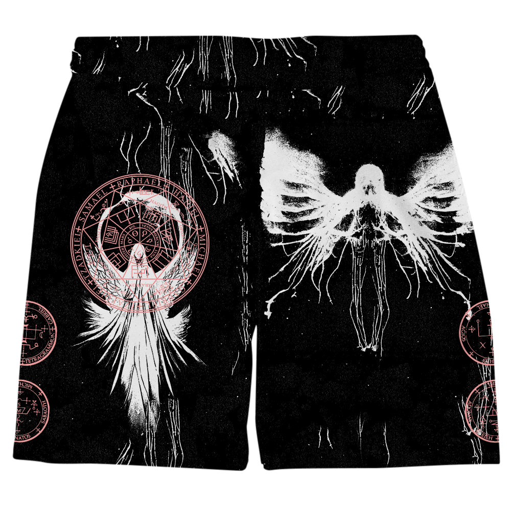 Unknown Prophecy Shorts