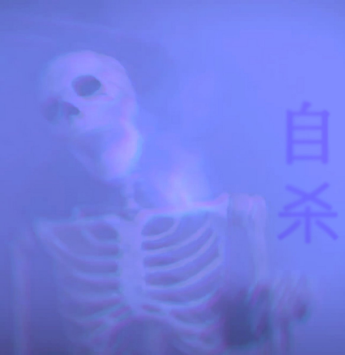 Eerie VHS-style cover art for the b e g o t t e n 自杀 music mystery