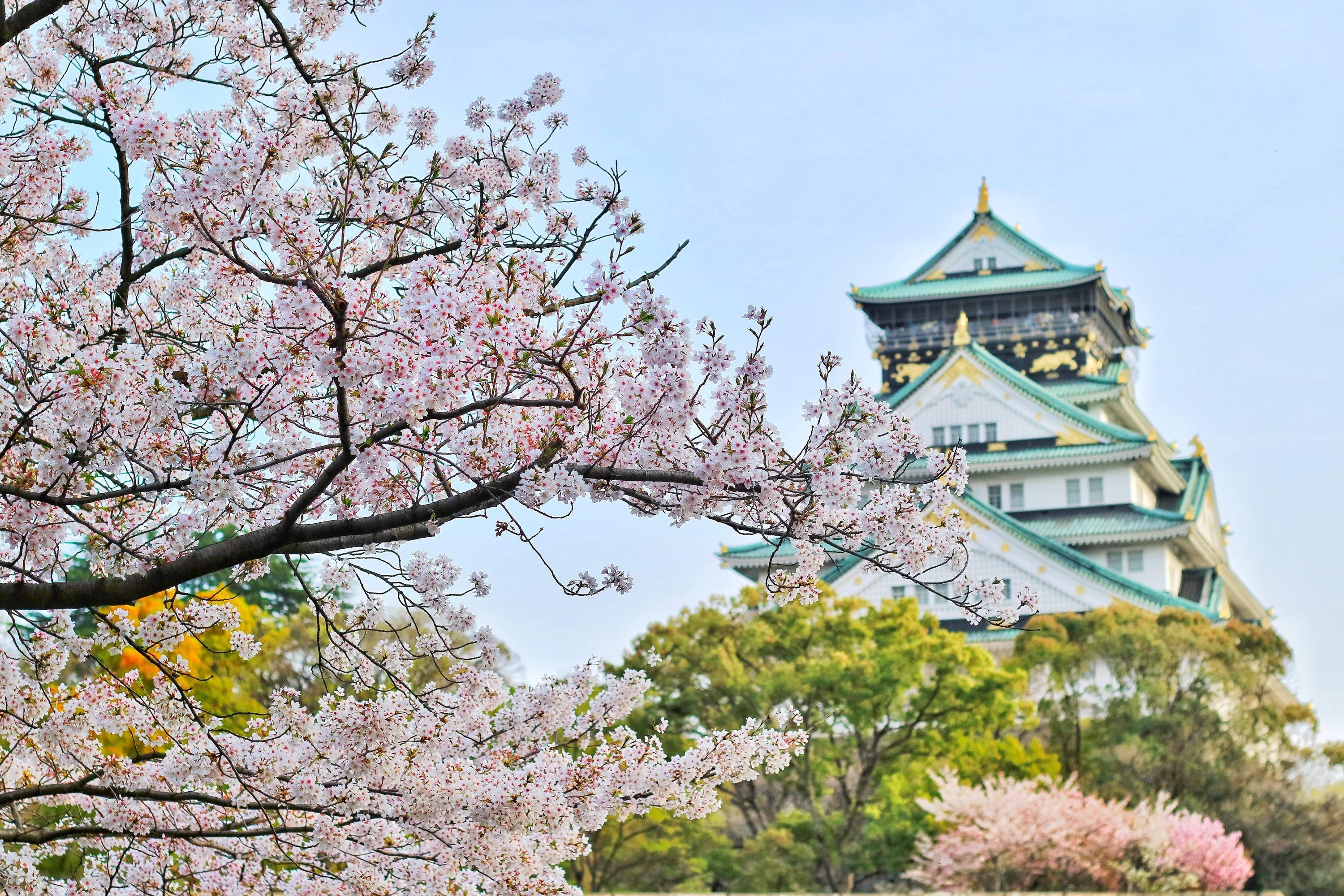 h e l i o s travels the aesthetic world: Osaka