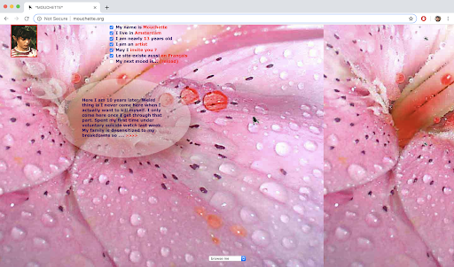 Screenshot of pioneering 1990s net art hosted on Rhizome's Net Art Anthology, featured on Vapor95 Darknet.