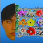 Windows 2002
