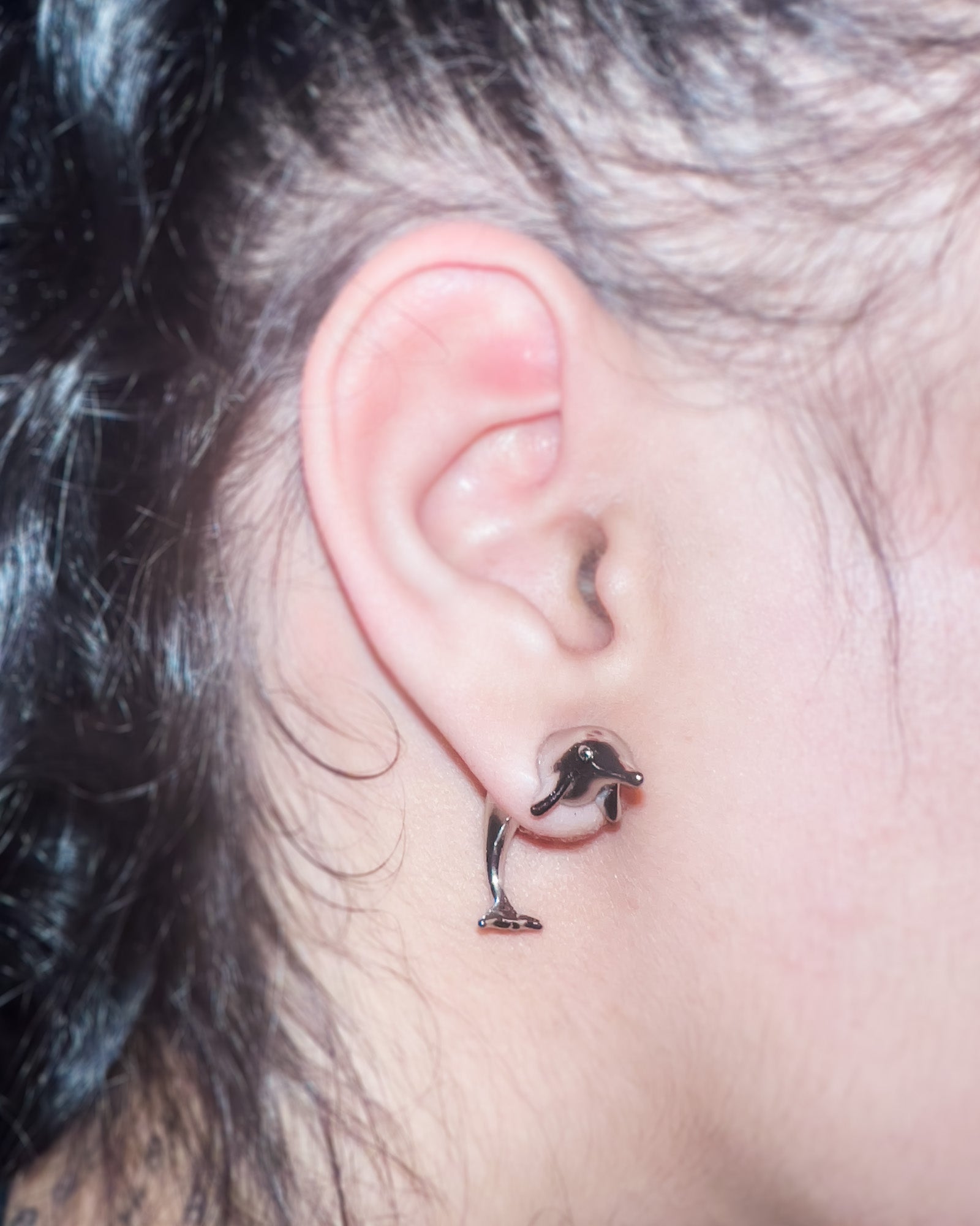 Dolphin Earring