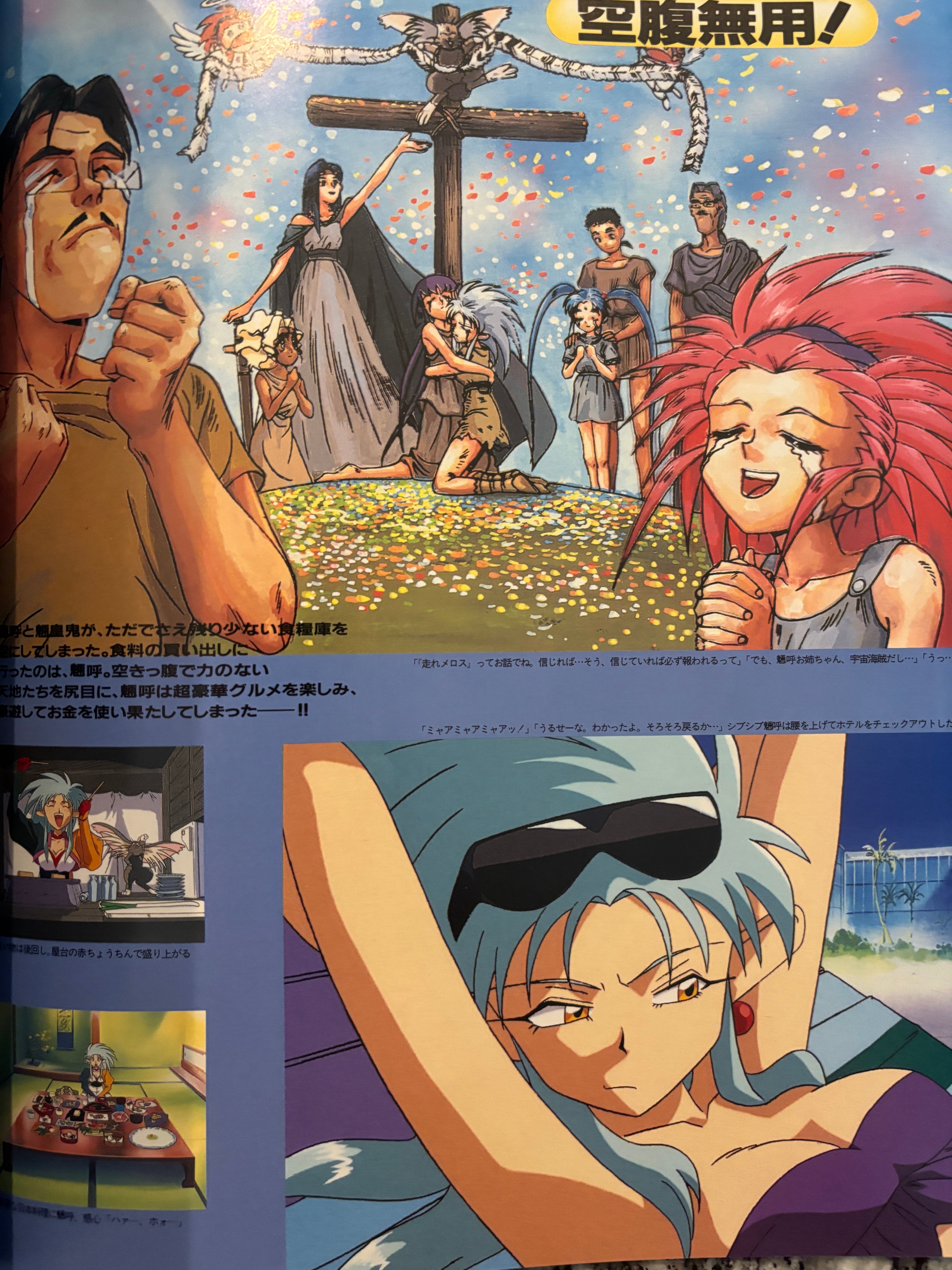 Tenchi Muyo Newtype 100% Art Book