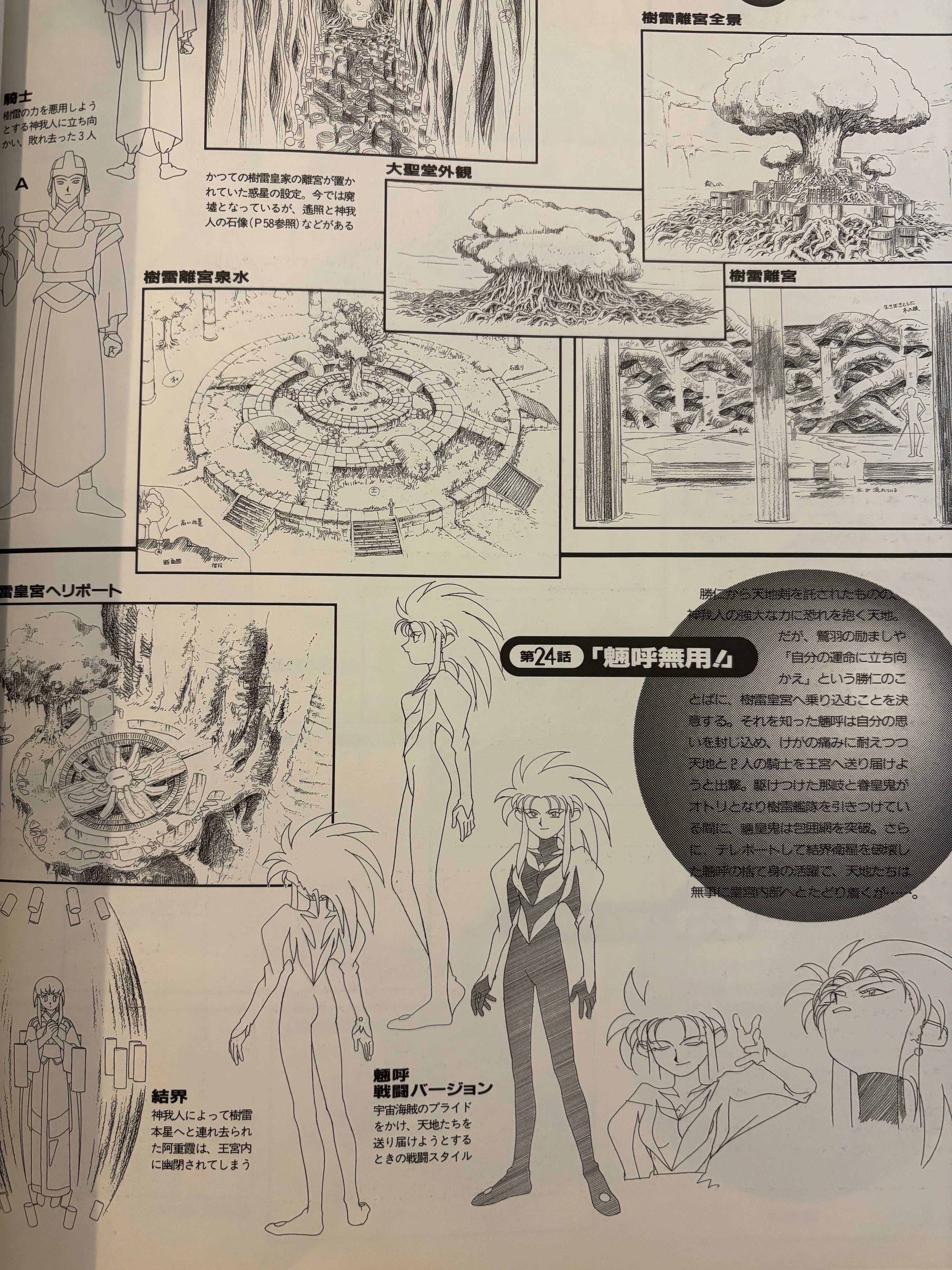Tenchi Muyo Newtype 100% Art Book