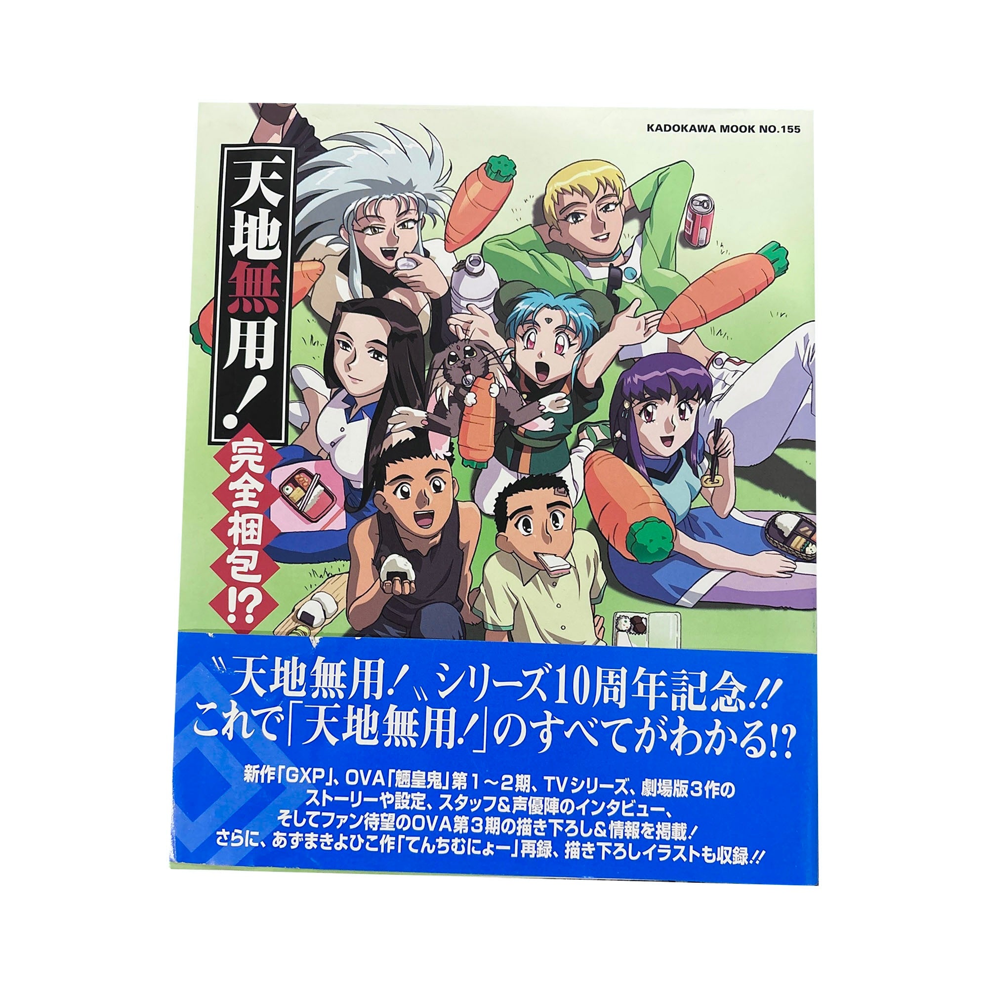 Tenchi Muyo Kadokawa Art Book