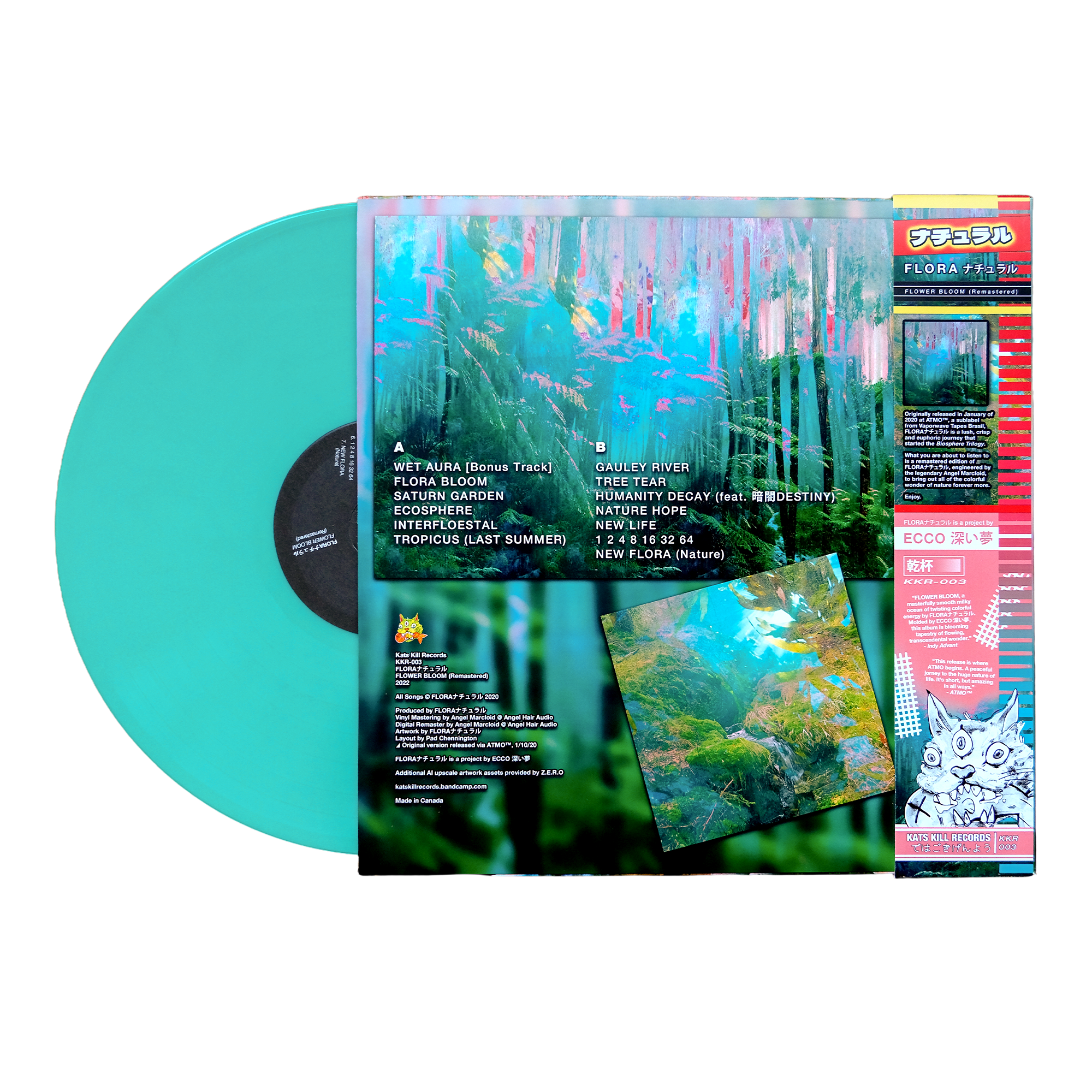 FLORA - FLOWER BLOOM (Remastered) Vinyl