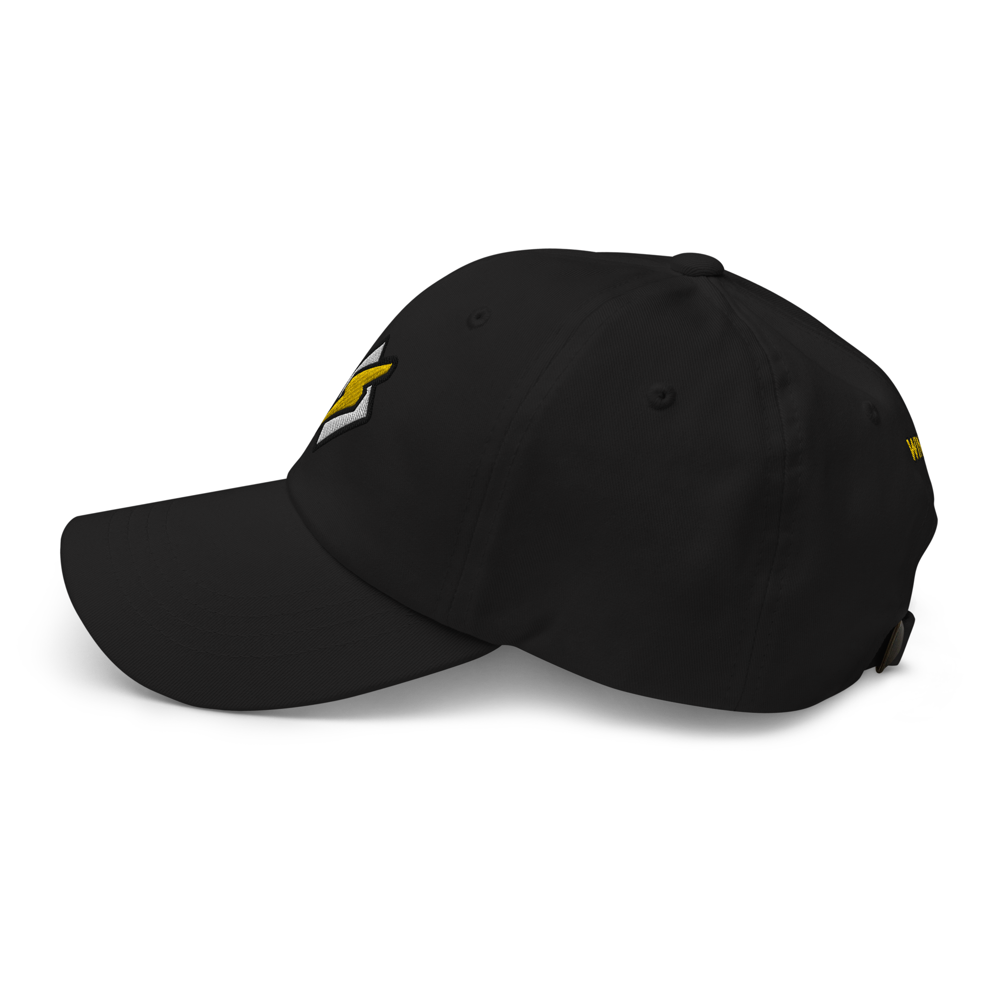 Winamp Hat