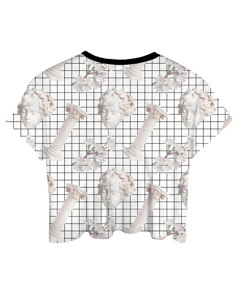 Desolate Blossom Crop Top