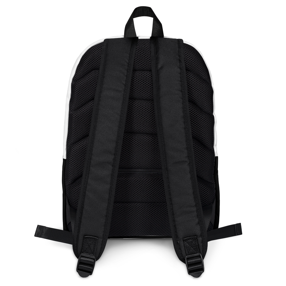 Secure Contain Protect Backpack – Vapor95